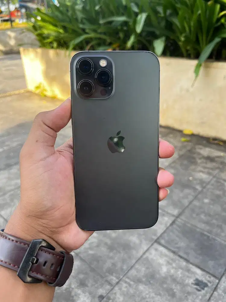 12 Pro Max 256gb Alloprator