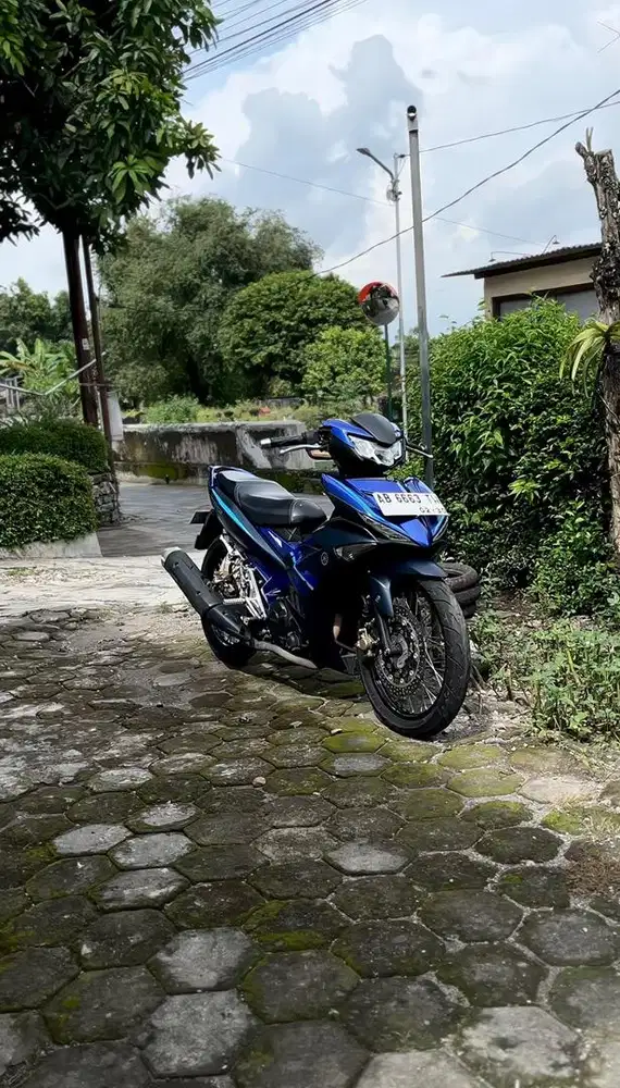 mx king v2 150cc 2022