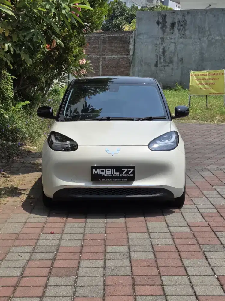 Wuling Binguo EV pro ac/dc odo19rb Tahun 2024