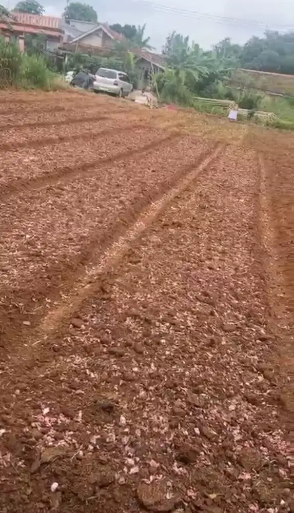 Dijual murah tanah dengan lokasi bagus sekali