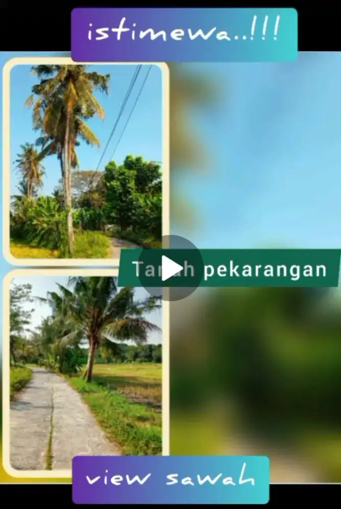 Tanah view sawah cantik hadap timur