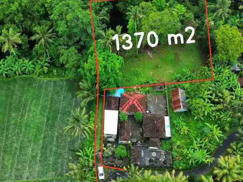 Siap Bangun Vila, Tanah Datar View Sawah di Ubud Gianyar