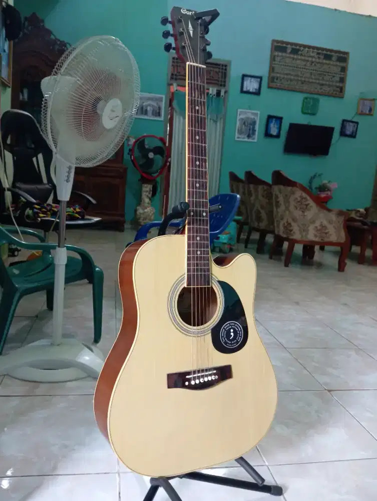 Gitar cort ad810 op