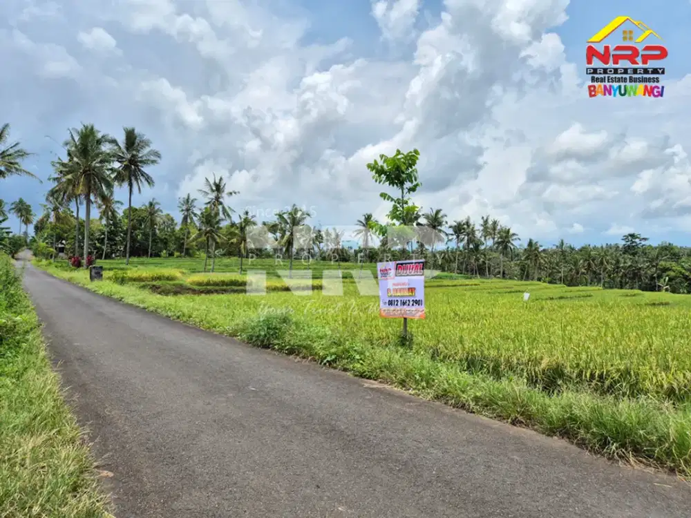 DiJUAL Tanah Sawah Terasiring di Jelun -  Glagah Banyuwangi!