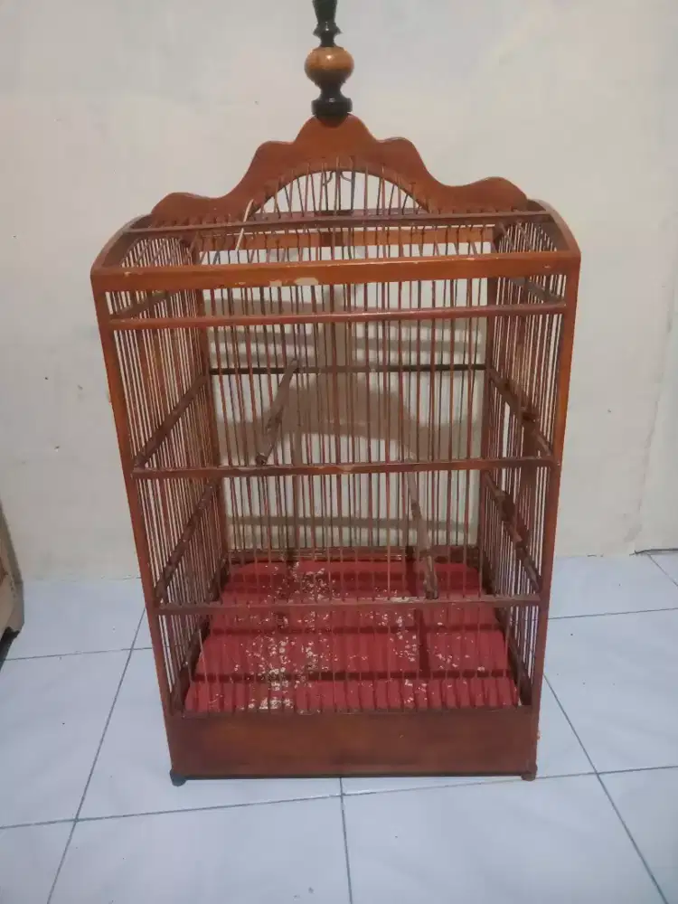 Jual kandang burung jati masih layak pakai minat langsung wa