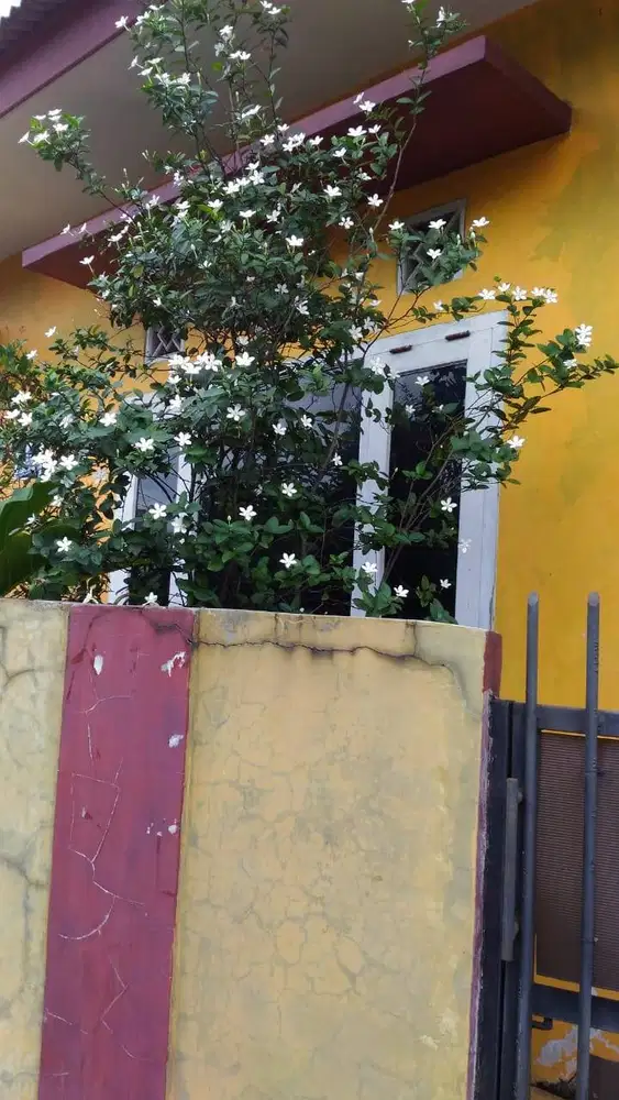 JUAL RUMAH DI JATIASIH BEKASI SIAP HUNI (c0982)