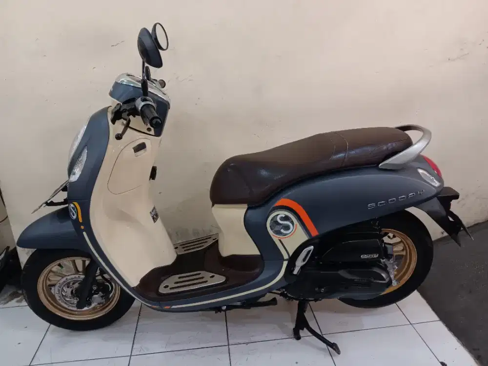 Scoopy staylis thn 2021