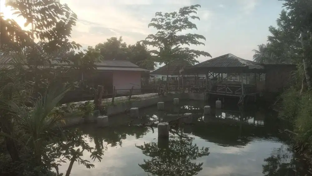 Di jual tanah beserta 4 bangunan terdiri dari mushola dan saung