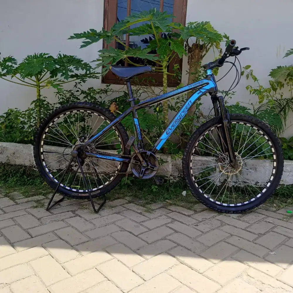 Sepeda MTB Evergreen Ranger 539