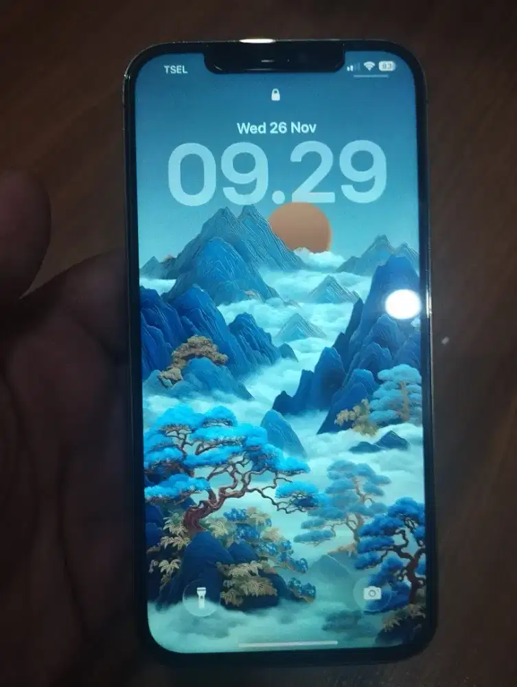 Iphone 12 Pro Max 512gb Gold Second ibox