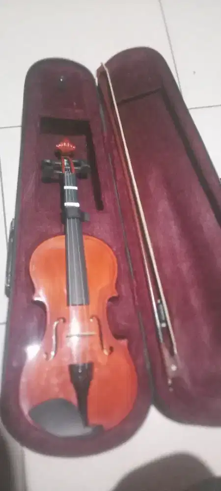 Biola Amedeus seperti baru