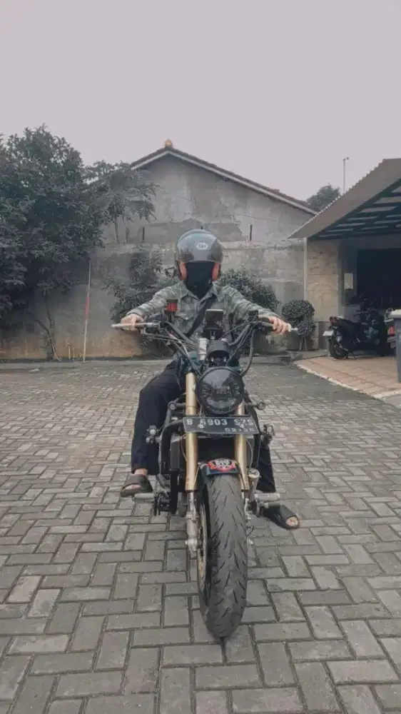 NINJA 250 CUSTOM MOGE