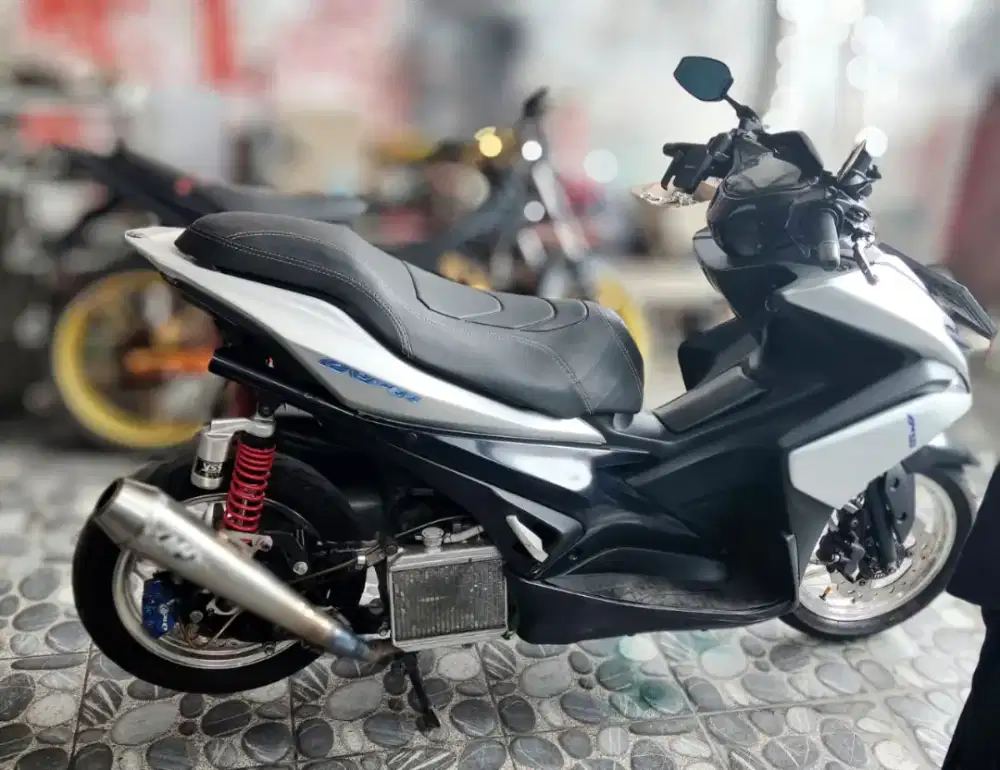 Aerox tpyeR double disc