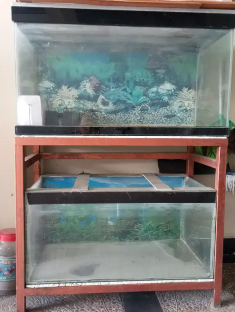Aquarium 2 tingkat besi holo
