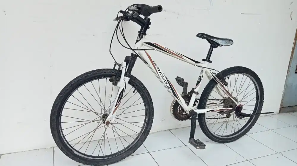 Wimcycle 24 Roadcamp Sepeda Gunung MTB anak