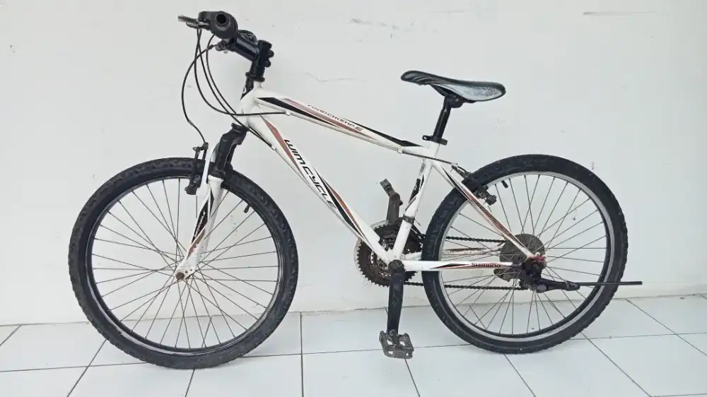 Wimcycle 24 Roadcamp Sepeda Gunung MTB anak