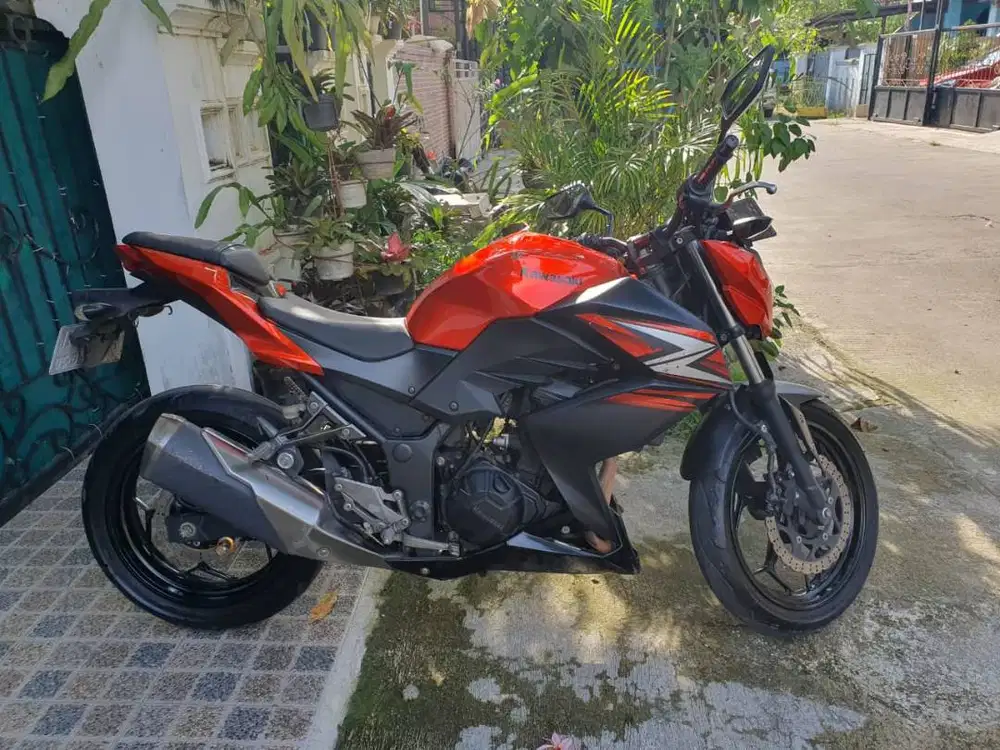 2015 Kawasaki Z250 Orange (Second)
