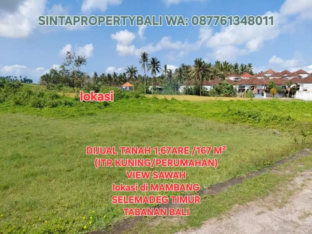 Jual Tanah 1,67are VIEW SAWAH, ITR perumahan di Selemadeg Tabanan Bali