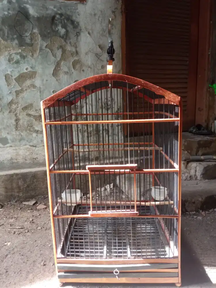 Dijual kandang burung