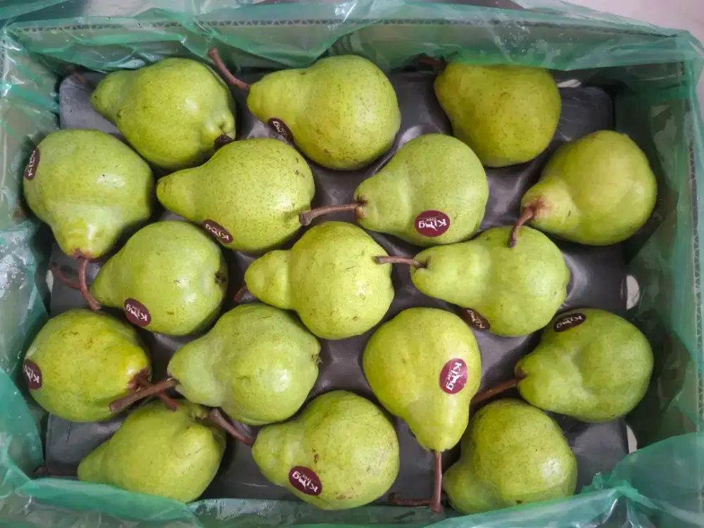Pear Pacham Africa