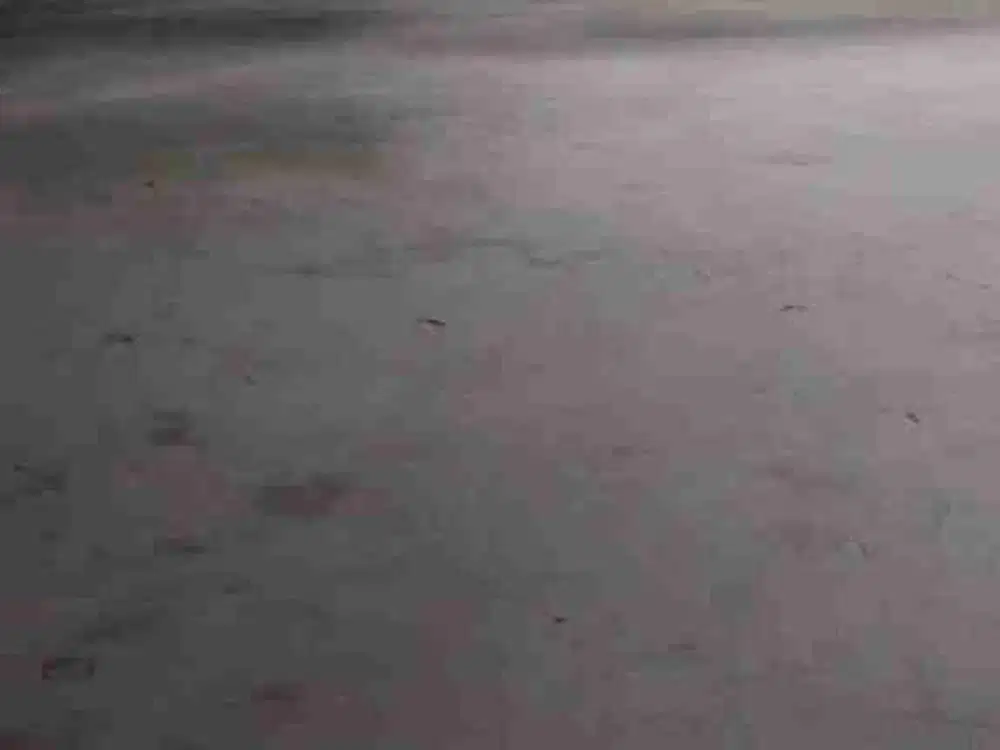 Disewakan Gudang Jababeka 1 blok C