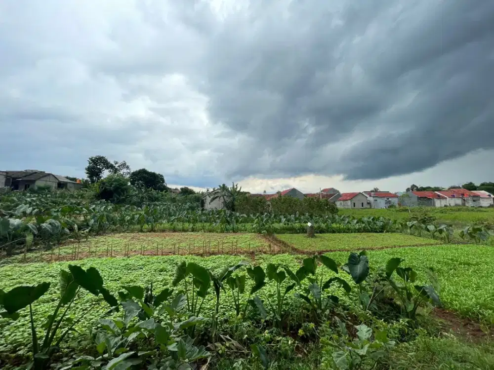 Kavling 10 Menit Stasiun Cilebut Harga Termurah Bonus Honda Beat