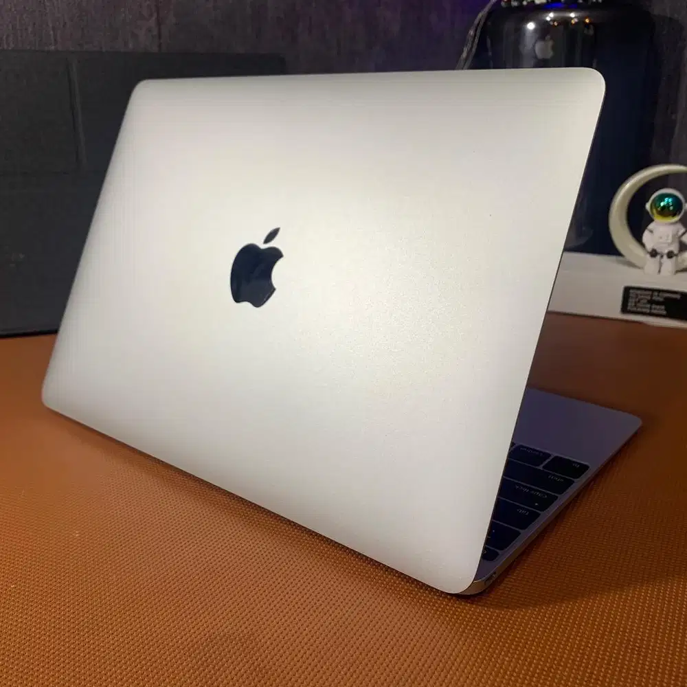 Macbook Retina 12inch 2015 8/256gb Silver
