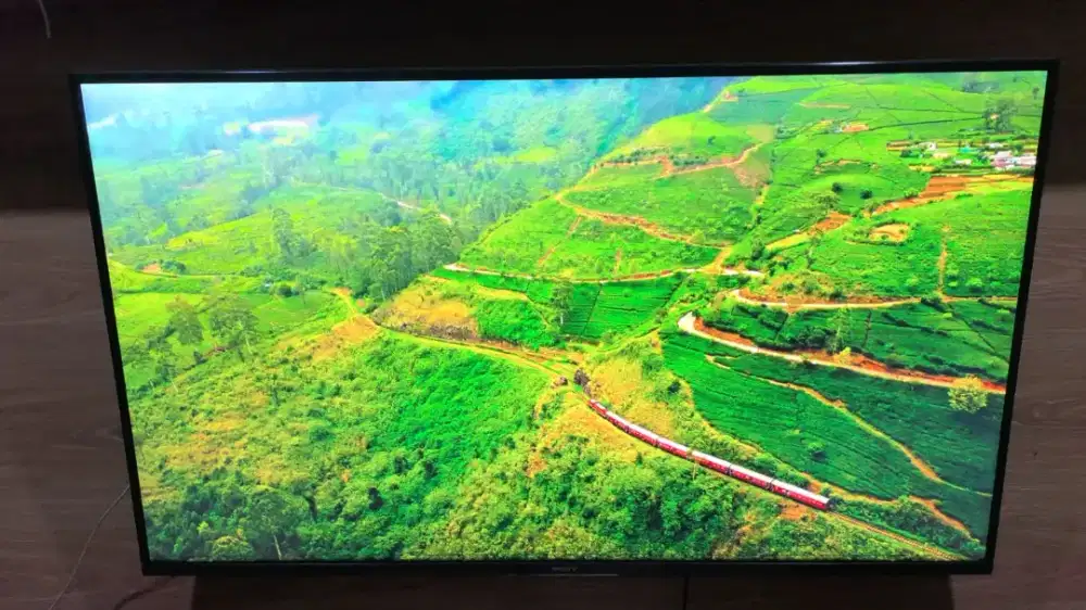 Sony TV 49Inch Rusak