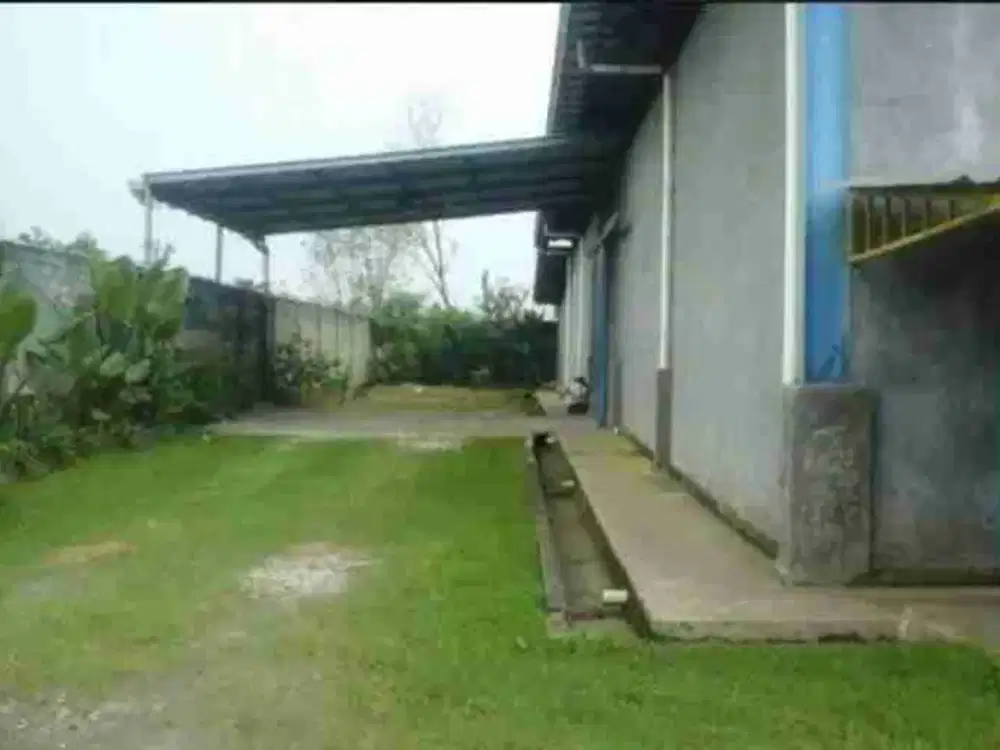 Gudang Disewakan di Gunung Putri Bogor – 1.250m² Tanah, Akses Tol & Kontainer, SHM
