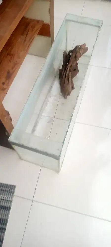 Aquarium ikan Masih ok Lok Kemanggisan