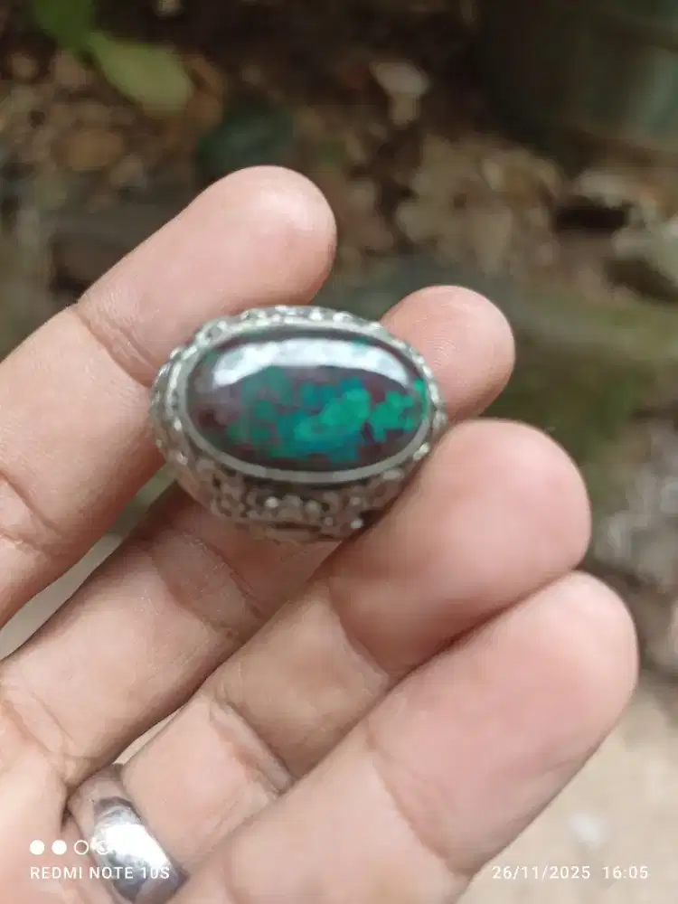 natural pirus mesir urat merah gradasi