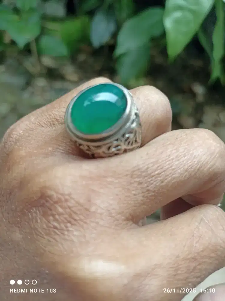 natural bacan gulau kura tali hitam lawas
