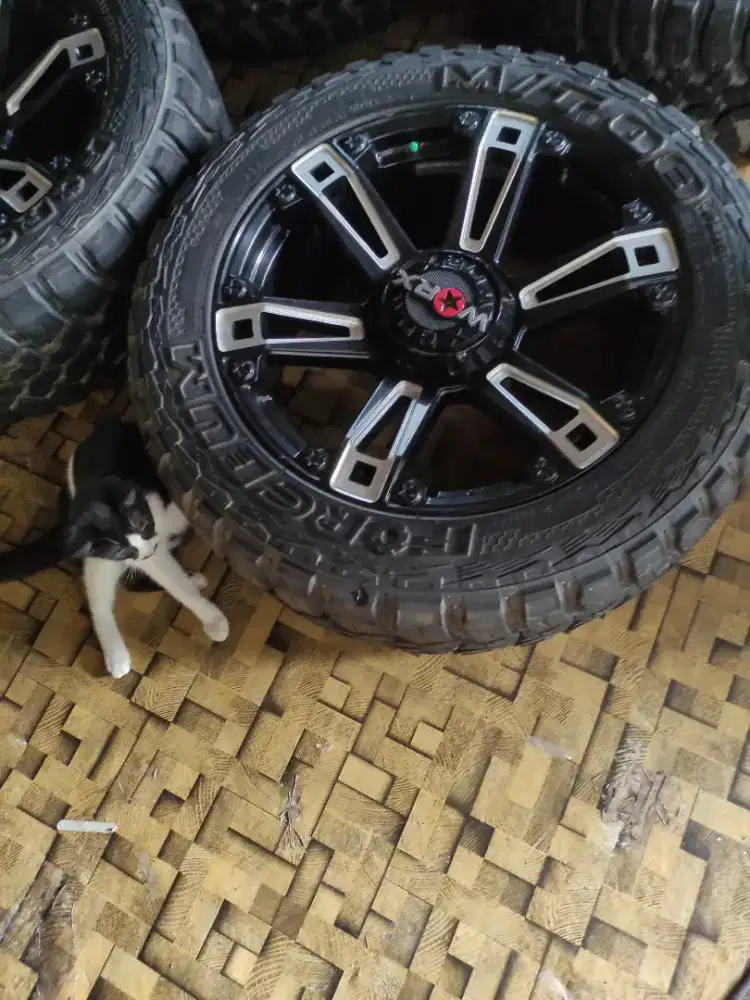 Vekl baut 6 WORX plus ban  r 20