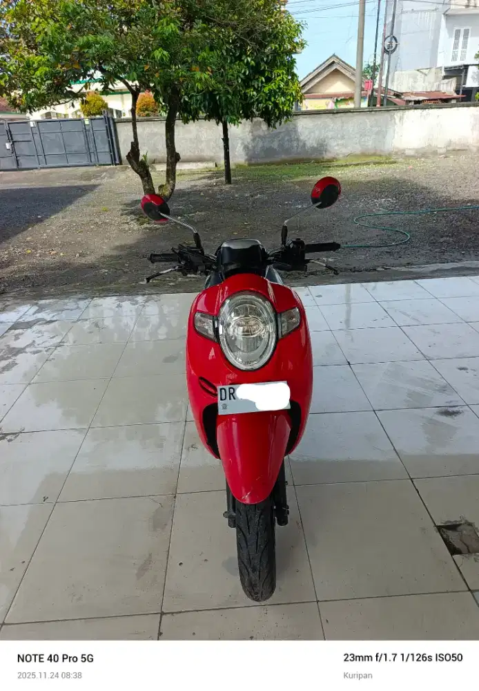 Scoopy Sporty 2019