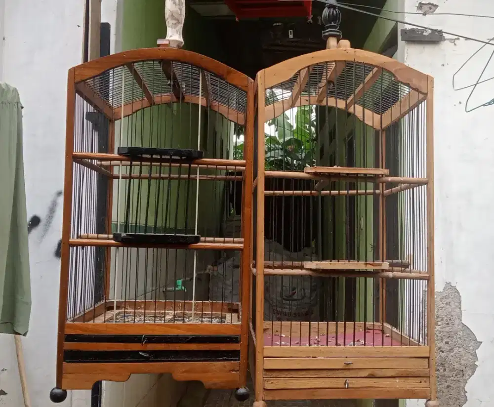 Kandang burcil no 4
