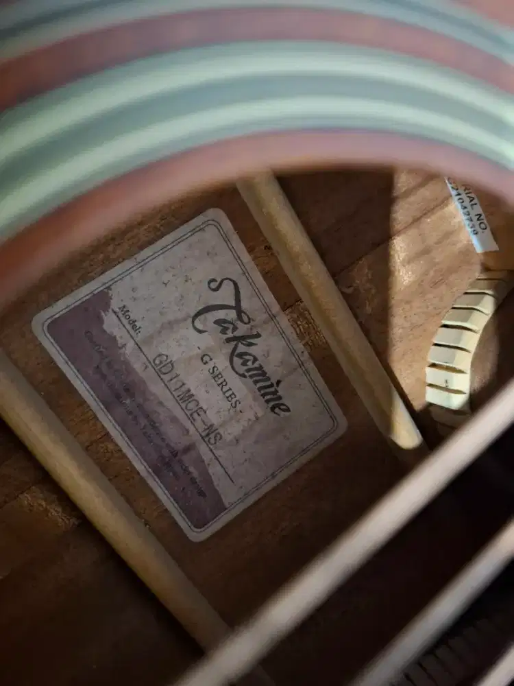 Gitar Takamine GD11MCE