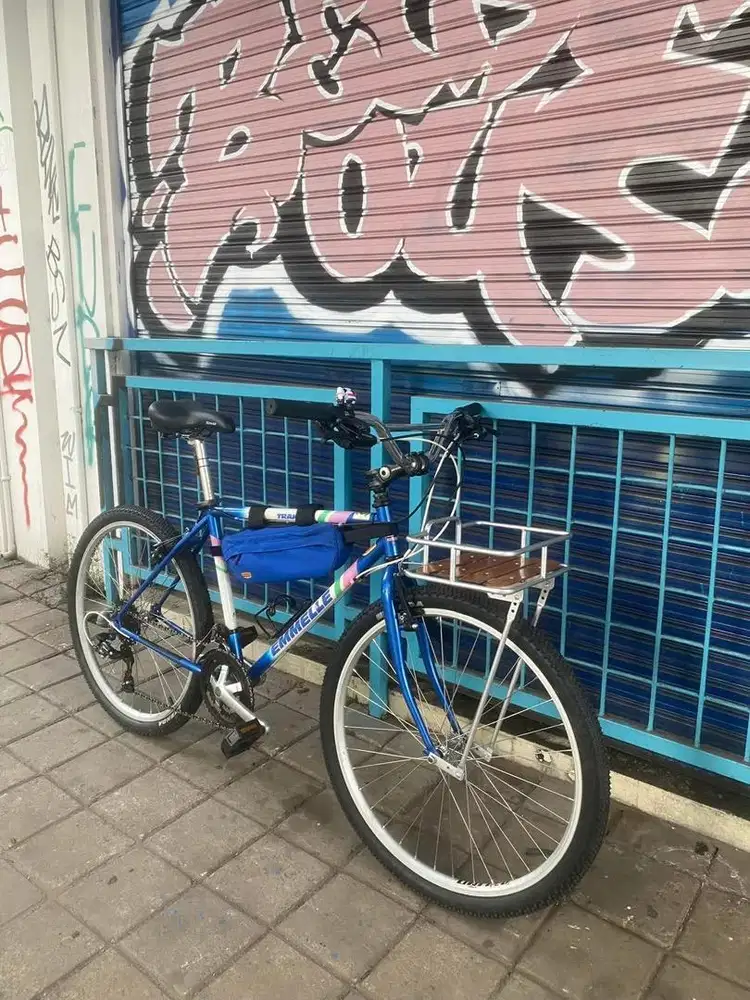 Sepeda Federal Emmelle Street Cat