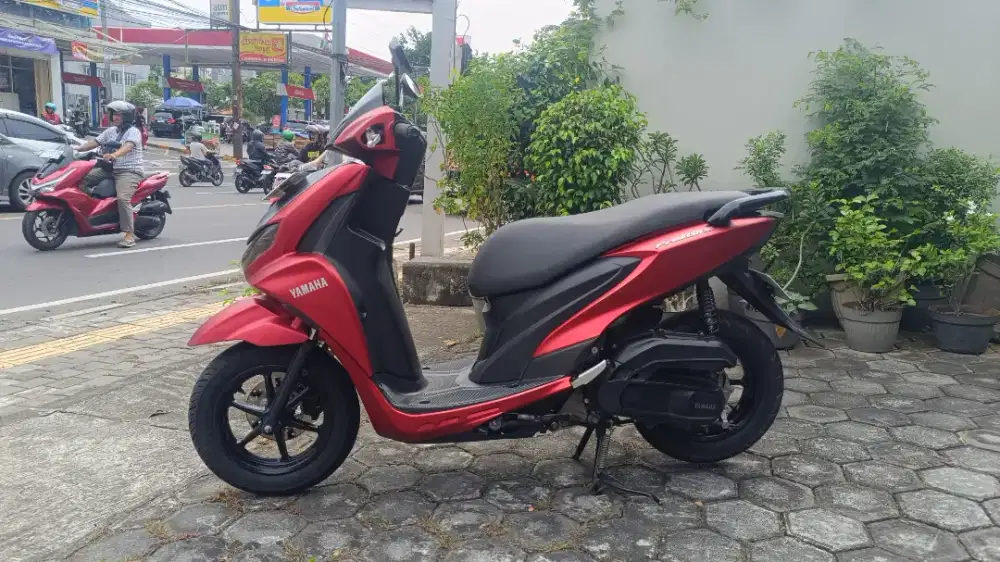 Yamaha FreeGo  S