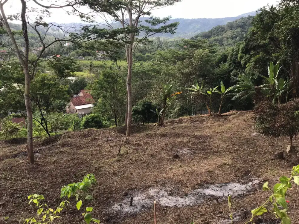 Tanah laut ringgung 5600 meter