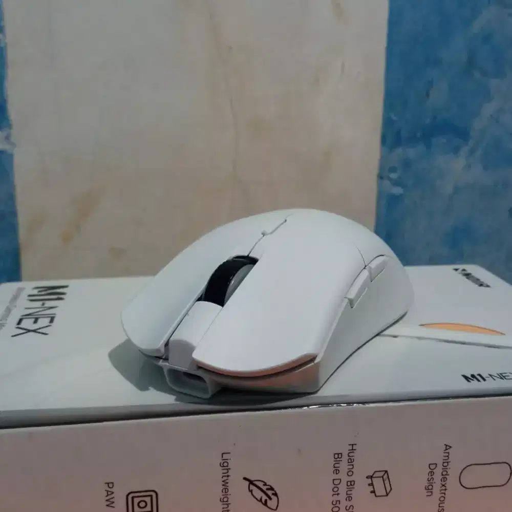 MOUSE NOIR - HSC 2025