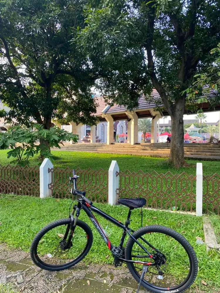 sepeda polygon sepeda gunung MTB Alloy