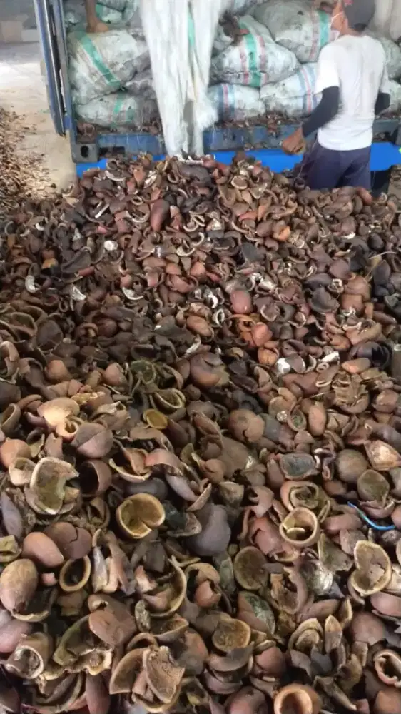 DICARI KOPRA ASALAN UNTUK PABRIK