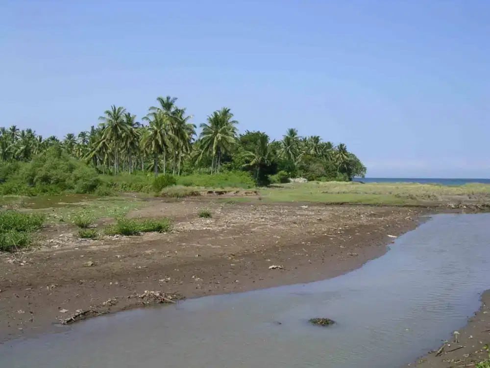 Buc tanah 12500m2 kaw villa,resort loss pantai melaya jembrana jl5mtr