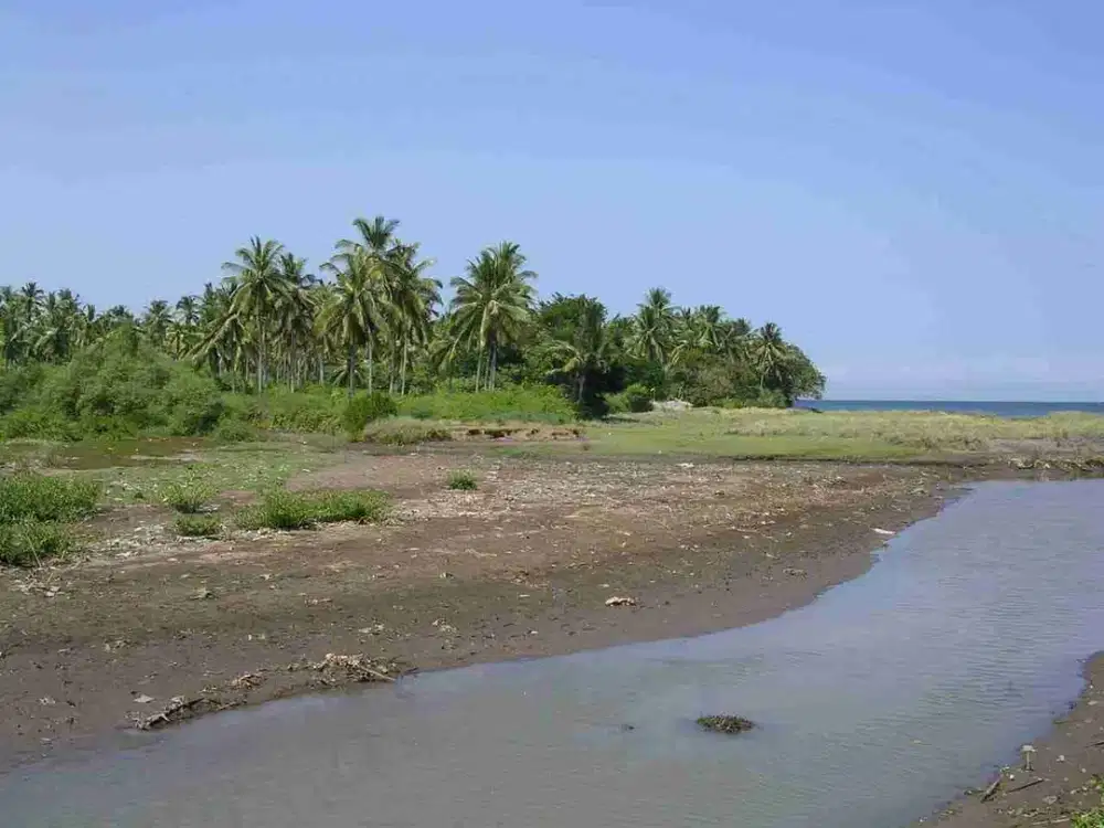 Buc tanah 12500m2 kaw villa,resort loss pantai melaya jembrana jl5mtr