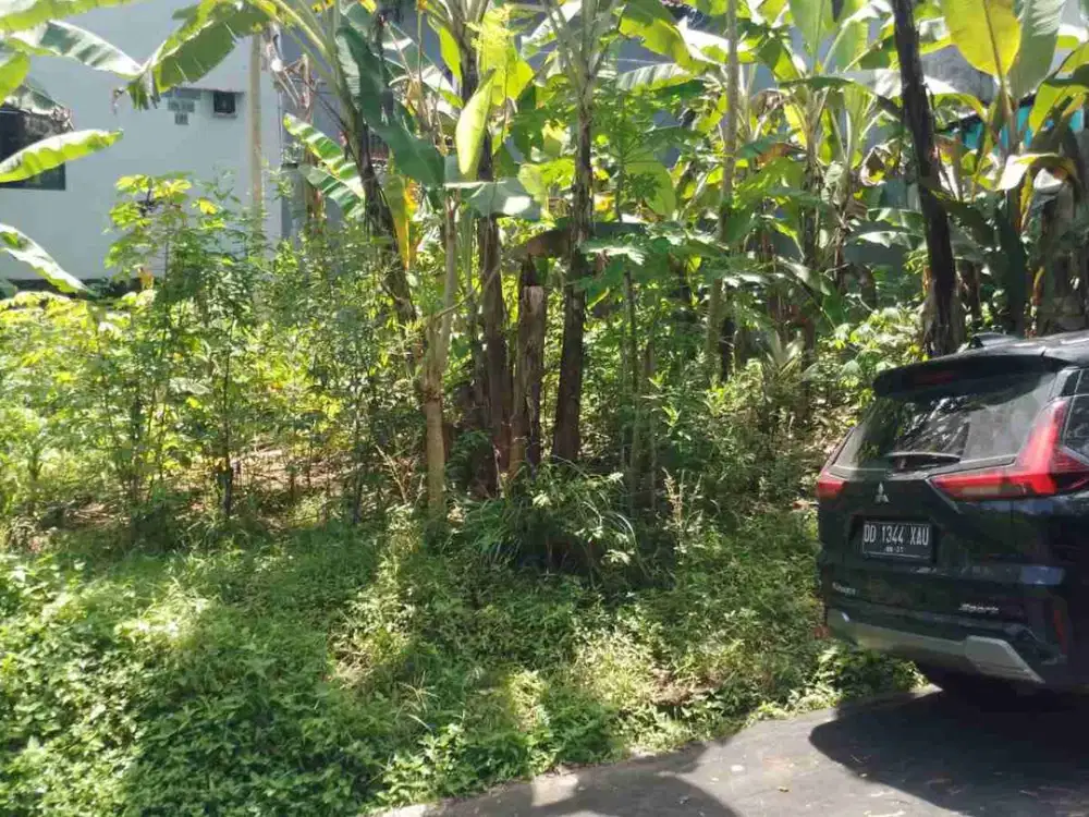 Tanah Kecil utk Kosan, Rumah di Selatan Kantor Pajak Tabanan
