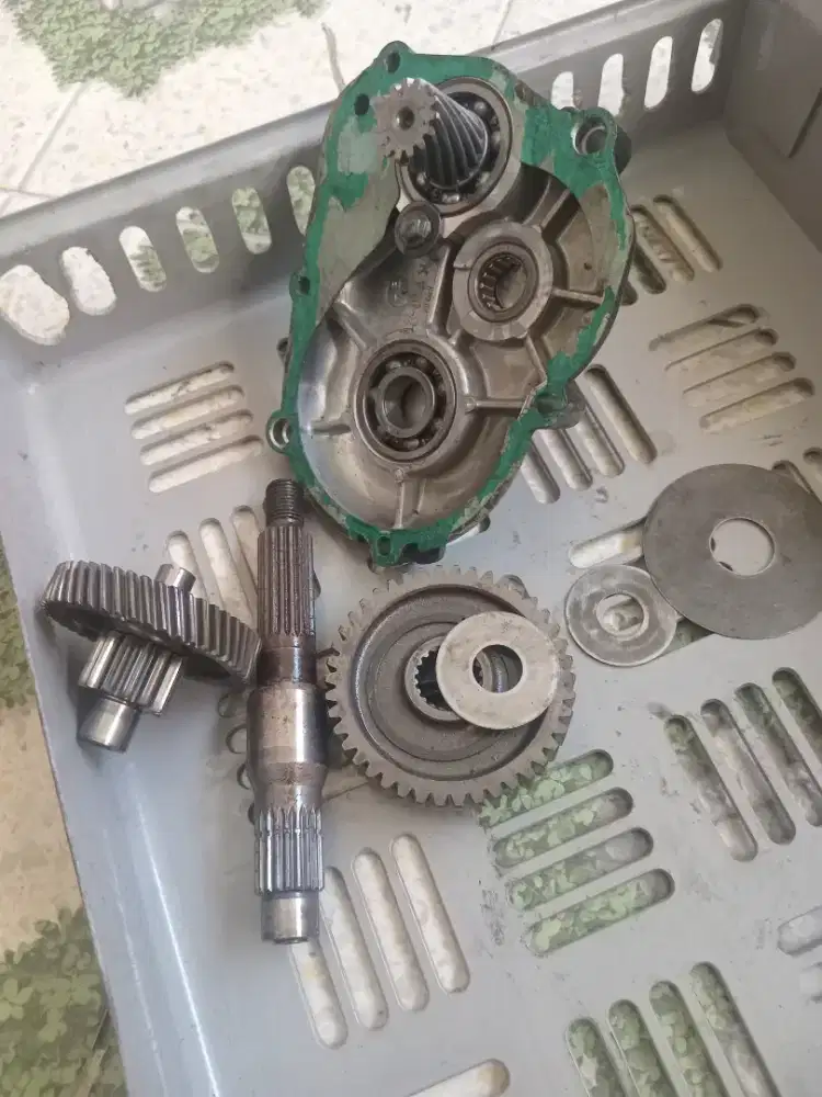 Gardan mio smail masih halus