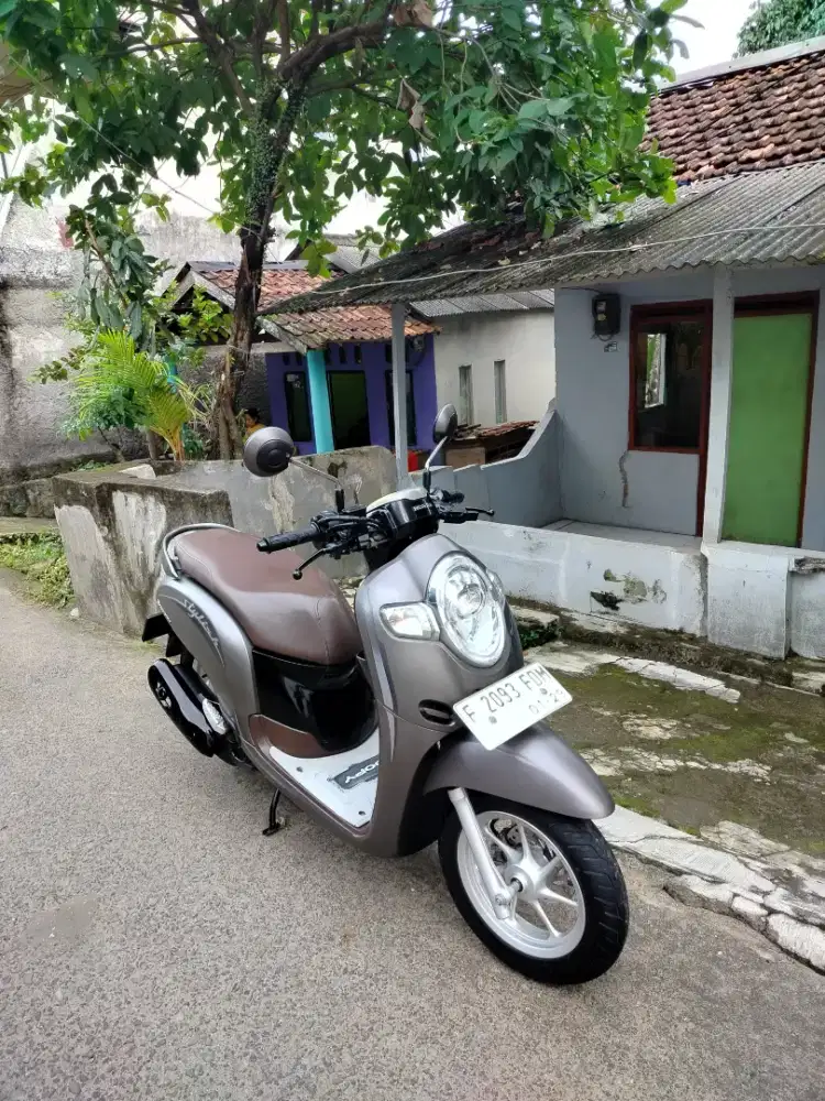 Honda Scoopy 2019