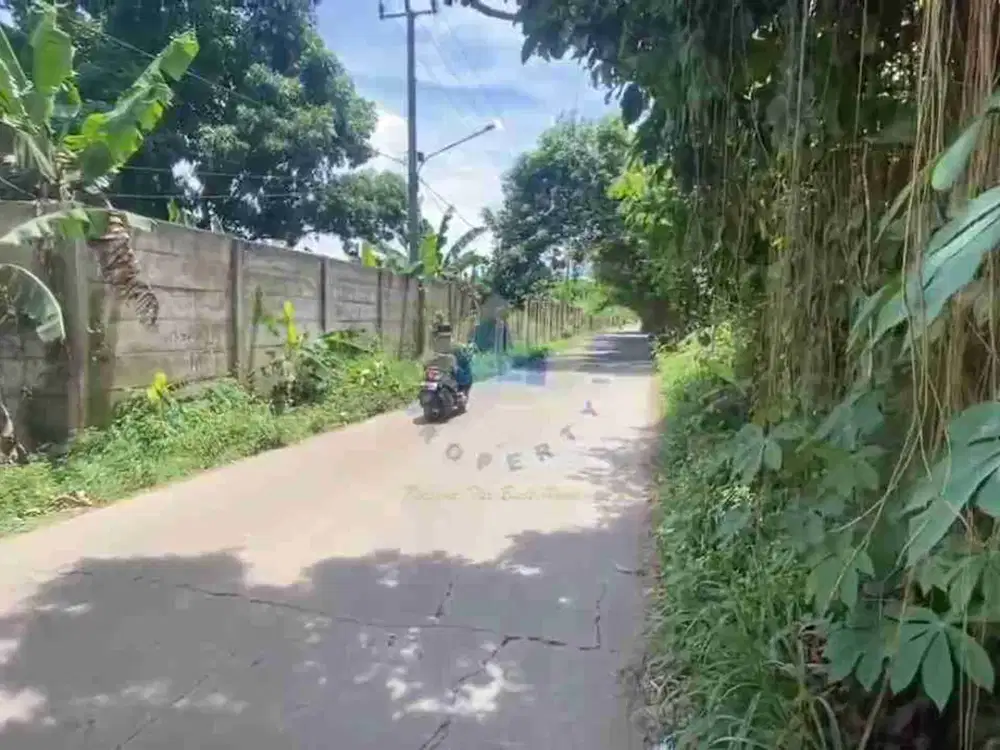 Jual Tanah di Dangdang, Cisauk - Tangerang, Banten