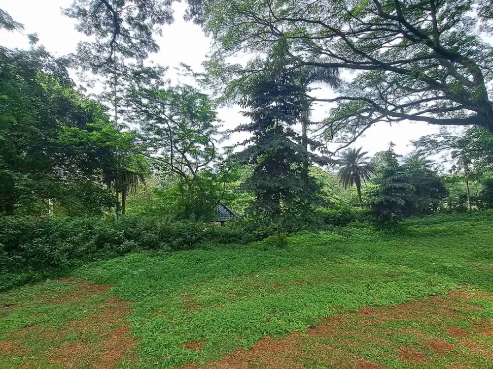 Kavling Bukit gold bsd siap bangun  view langsung lapangan golf