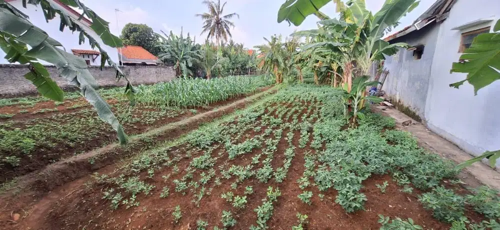 Dijual Tanah Milik Sendiri Lokasi Strategis